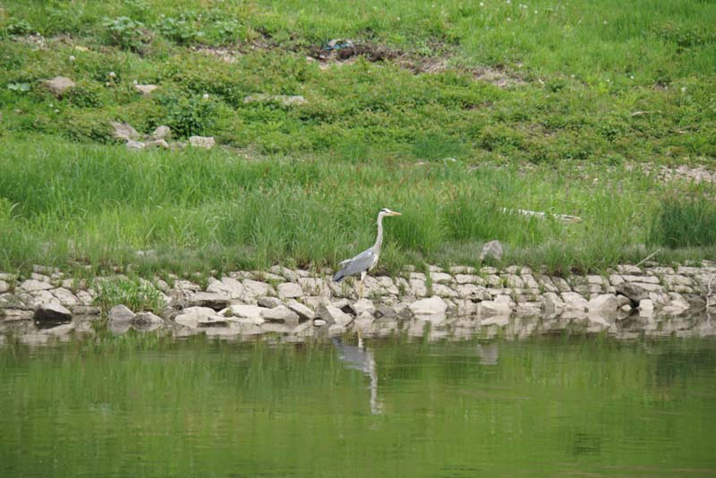 19-05-17_DD_BdSch_0212_LeS_05343